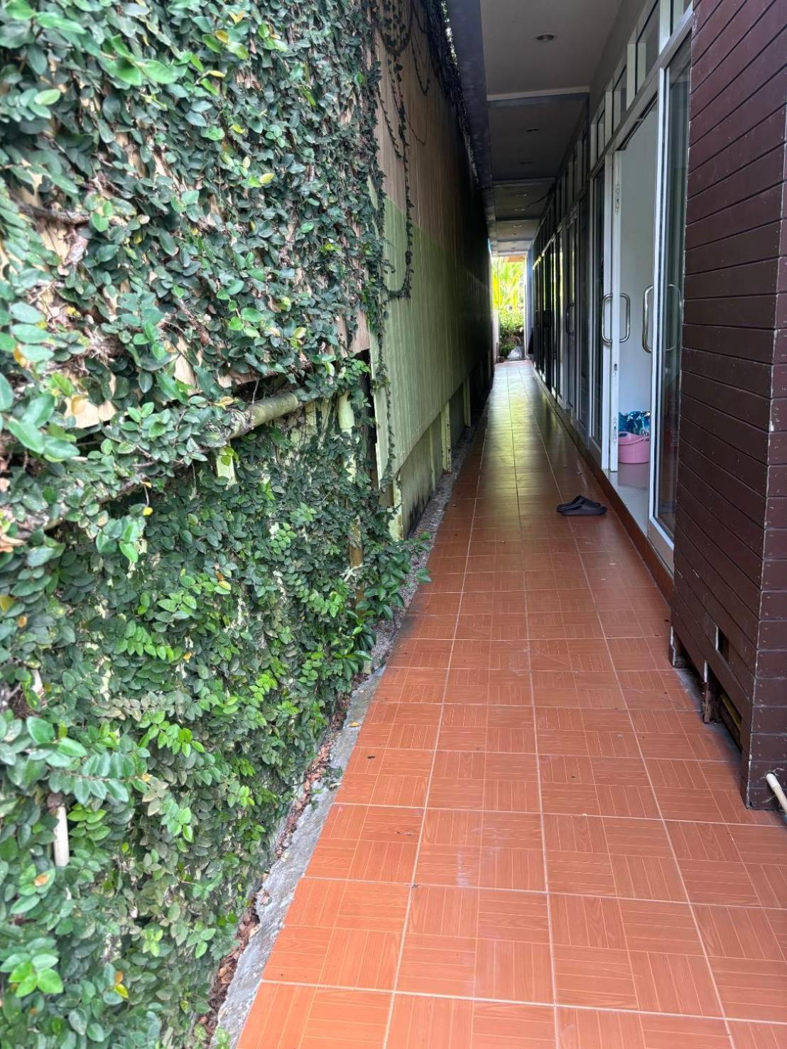 Hotel Rung Phangan Baan Tai Exterior foto